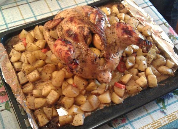     
:   .jpg
: 349
:	97.3 
ID:	230