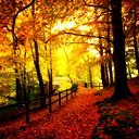 ������ ��� IVAN Vogo